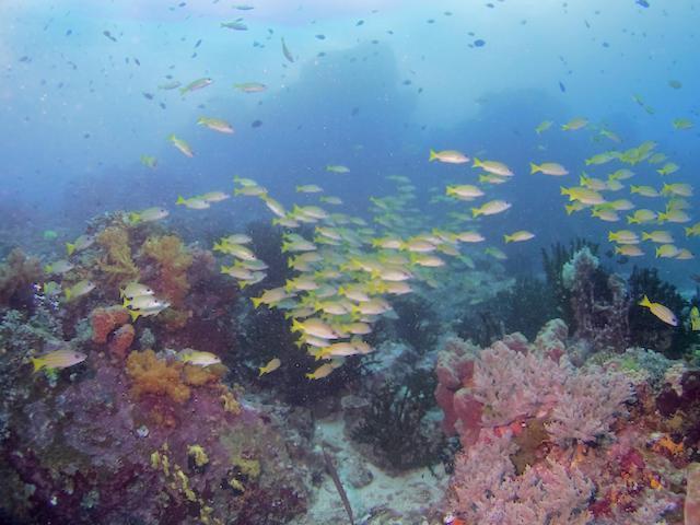 Nomad Divers Bangka Likupang Bagian luar foto